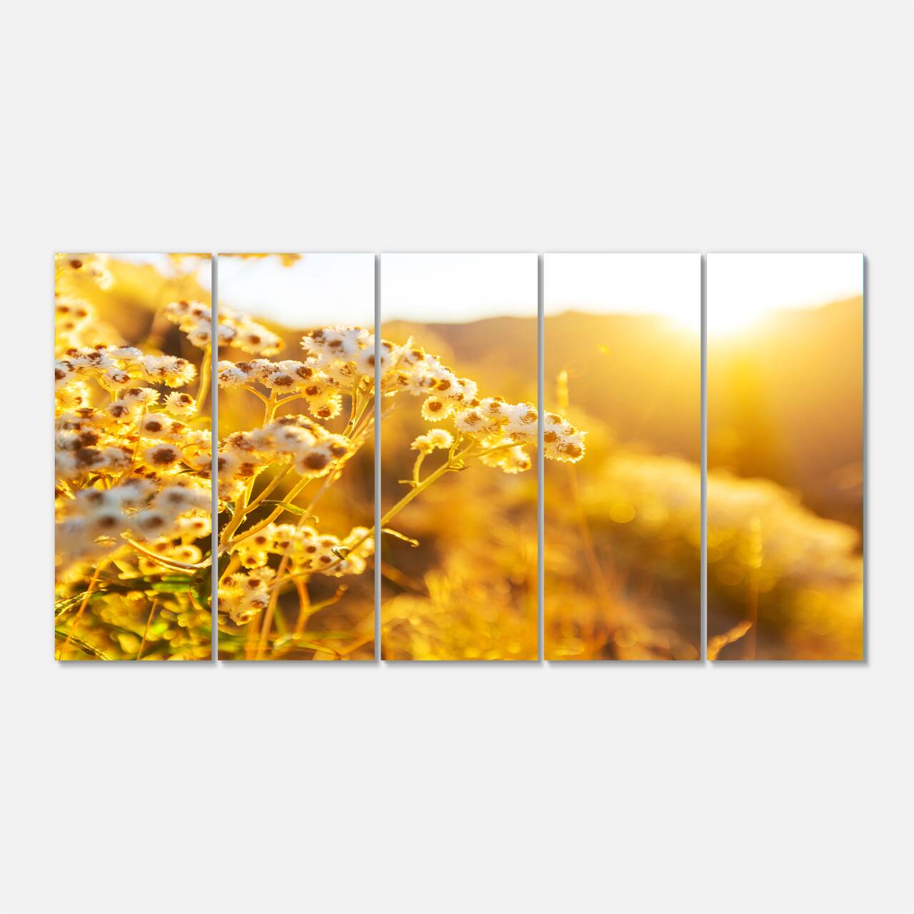 Designart - Bright Yellow Rural Garden Flowers - Floral Canvas Art Print